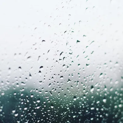 Природные живописные моменты под дождем: скачать jpg