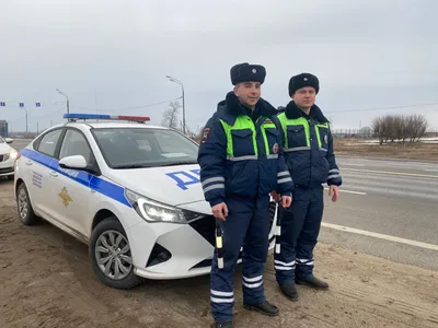 Дпс» — создано в Шедевруме