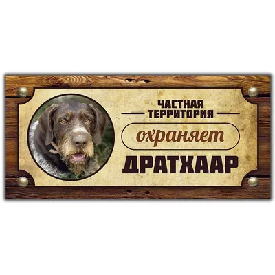 А что это за порода? - Дратхаар. - Как, как? | Пикабу