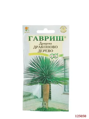 Драцена Драконово Дерево (3 сем.) (Г) купить в магазине товаров для дачи  \"Ботва\" г.Липецк