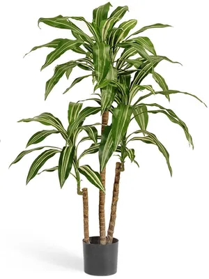 Купить Искусственное растение дерево для декора Драцена Джанет Крейг  зеленая 125 см для интерьера дома гостиной офиса, сада по выгодной цене в  интернет-магазине OZON.ru (708817953)