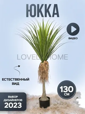 Lovely.Home Искусственное растение декоративное дерево Драцена Юкка