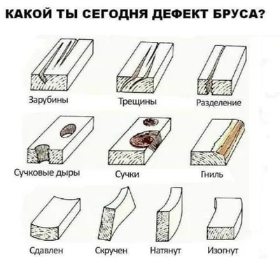 Дратути | Пикабу