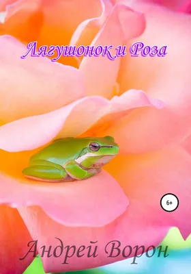 Роза-это древесное многолетнее цветущее растение рода Rosa, входящее в  семейство Rosaceae | животный и растительный мир | Дзен