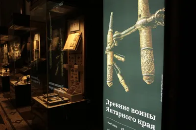 Выставка «Древние воины Янтарного края» - отчёт.