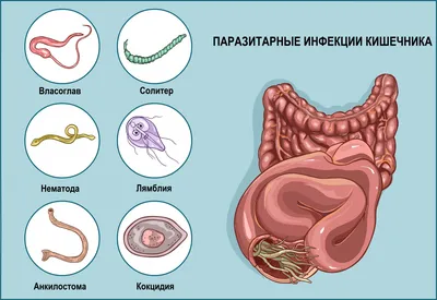 Грибок кожи: диагностика, лечение, препараты и мази