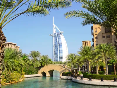 Дубай - город будущего | Анна Донская | Дзен