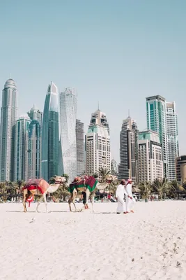 Дубай или Дубаи? Как правильно? | Флагман Трэвел | Дзен