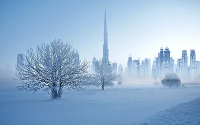 Купить квартиру в Дубаи это купить билет в вечное лето | Dubai Real Estate  Space