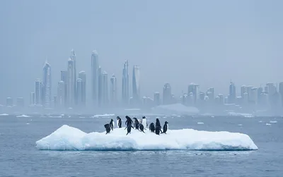 Классно на пляже) Зимой, в Дубай, на закате - классно 🌇 So good to be on  the beach. During the winter in Dubai on the sunset - even… | Instagram