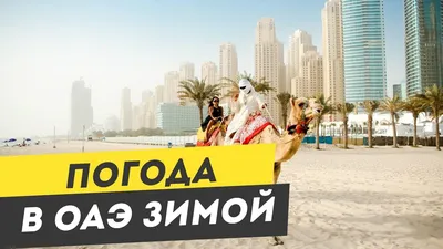 Арабские сказки XXI века. Зачем ехать в Дубай зимой - Turist
