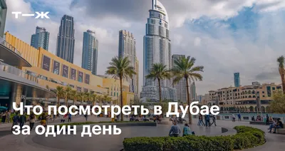 Популярные у белорусов 6 арабских стран введут единую туристическую визу в  2024 - KP.RU