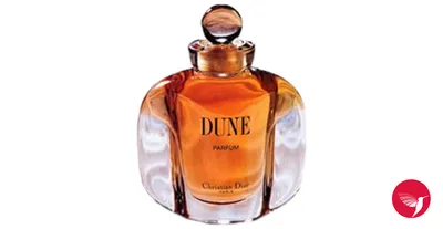 Amazon.com: DUNE by Christian Dior : CHRISTIAN DIOR