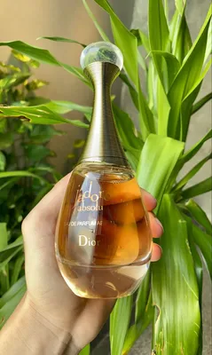 Day 12 of reviewing fragrances every day: Dior J'adore :  r/DesiFragranceAddicts