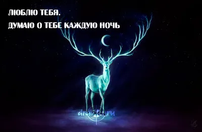 Самому любимому человеку на свете! Думаю о тебе... Больше, чем открытка, ,  ЭКСМО купить книгу 978-5-04-107646-7 – Лавка Бабуин, Киев, Украина