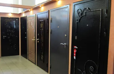 Двери входные металлические купить в СПб — цена входной двери стальной на  заказ, железные двери от производителя