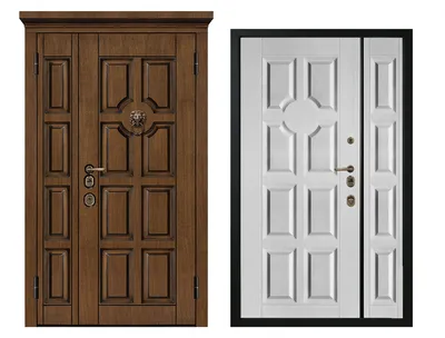 Наружные металлические двери для квартиры или дома M1827/29 - Metaluks
