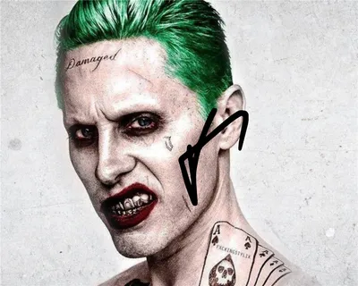 Автограф Джаред Лето (Джокер, Отряд самоубийц) - Автограф Jared Leto Joker  Suicide Squad - Фото с автографом, Подписанная фотография, Автограф  знаменитости, Подарок, Автограмма, Размер 20х25 см - купить с доставкой по  выгодным