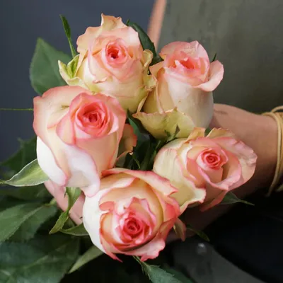 Роза \"Джумилия\" (Кения) с доставкой в Новороссийске в интернет магазине  цветов Роз Новоросс