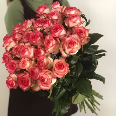 Роза сорта «Джумилия» (Jumilia) - 150 руб, купить в Воронеже в магазине  «Цветы Экспресс»