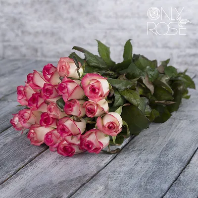 51 роза Джумилия • Склад цветов