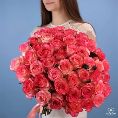 25 нежно-розовых роз Джумилия купить недорого | доставка по Москве и  области | Roza4u.ru