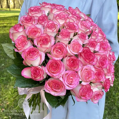 Букет 51 роза Джумилия купить за 9 350 руб. с круглосуточной доставкой |  Мосцветторгком