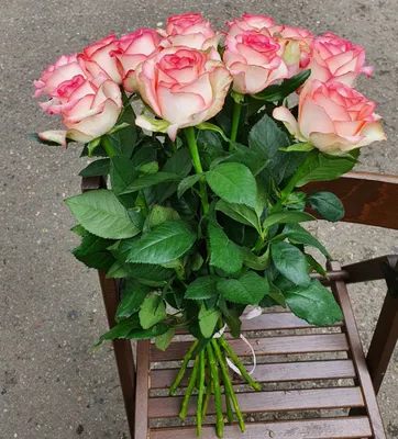 Букет из 51 розы \"Джумилия\" купить в Курске | заказать живые цветы с  доставкой на дом или самовывоз
