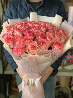 51 розовая роза Джумилия: купить 51 розовая роза Джумилия с доставкой по  Киеву и области | Golden Flora