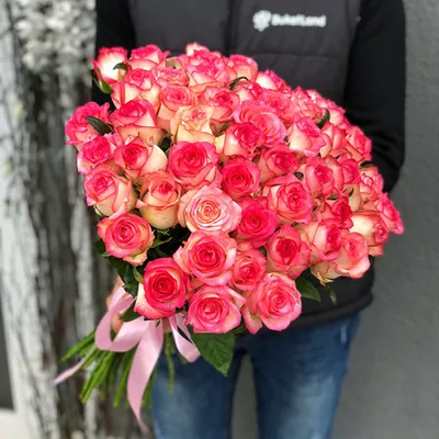 Розы Джумилия букет из 13 шт.