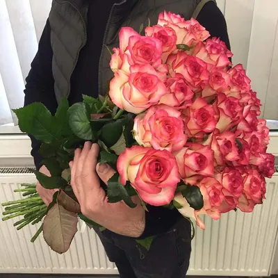 Rozalli Flowers - Роза Джумилия цветок, который трудно... | Facebook