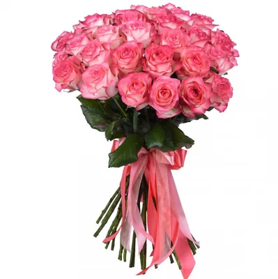 Букет из 11 роз \"Джумилия\" купить в Курске | заказать живые цветы с  доставкой на дом или самовывоз