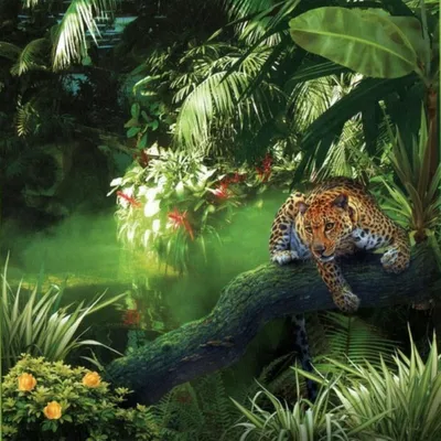 Тропические джунгли (57 фото) - 57 фото