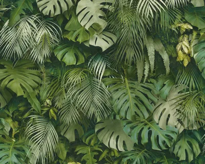 Купить фотообои Джунгли / Тропики «Дикая природа джунглей» | PINEGIN
