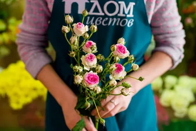 Саженец Штамбовая Роза Эден Роуз в Москве ᐈ Купить, Цена – Интернет-магазин  Свой Питомник, Россия