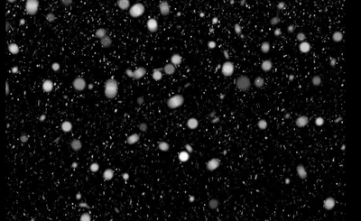 Зимние фото с эффектом падающего снега: скачать в формате webp