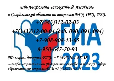 ЕГЭ по литературе 2024: как подготовиться и успешно сдать : sotkaonline.ru  | Блог