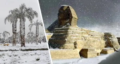 Отдых в Египте зимой из Минска, Киева, Москвы — цены на путевки в Египет  зимой