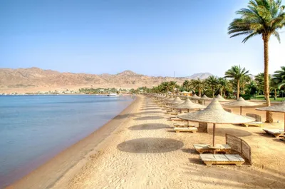 Фото «Пляжный волейбол» из фотогалереи «Египет зимой.» отель «AMC Royal  Hotels
