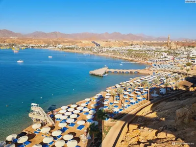 Лучшие отели Египта для комфортного отдыха зимой и безветренные бухты  Шарм-эль-Шейха. — Relaxtur