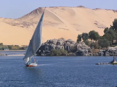 Beach Albatros Resort 4*, Египет, Шарм-эль-Шейх - «Стоит ли ехать в Египет  зимой? Можно ли купаться зимой в Египте? Какой выбрать отель на новогодние  каникулы? Теперь я знаю ответы на эти вопросы.» |