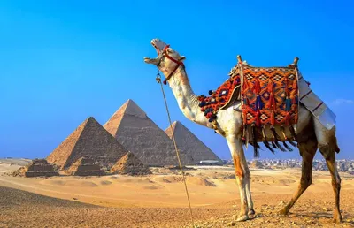 Когда Египет надоел: 7 направлений, где погреться зимой