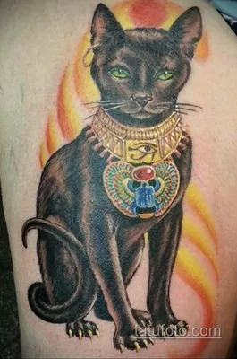 Египетская кошка тату фото фотографии