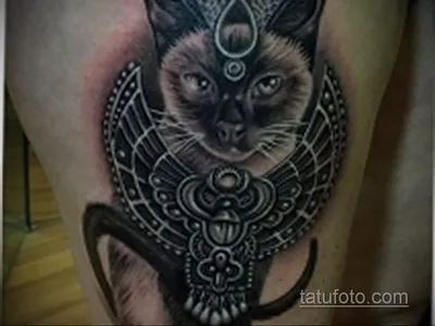 Египетская кошка с татуировками - фото в форматах jpg, png, webp