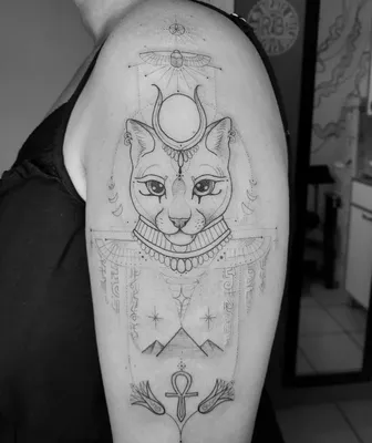 Египетская кошка тату на фото со смартфоном - картинки в формате png