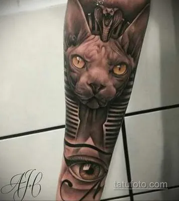 Фото с татуированным котом на ретро фоне - скачать в хорошем качестве