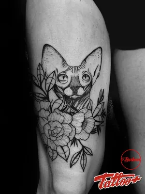 Фото с татуированной кошкой на абстрактном фоне - картинки бесплатно
