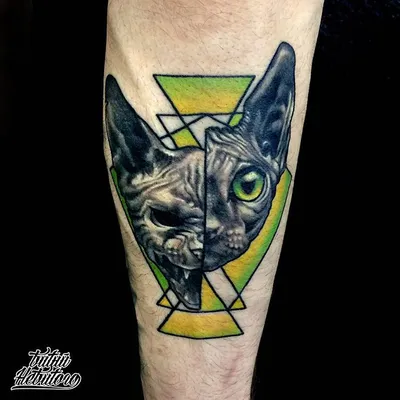 Египетская кошка тату на ярком фоне - изображение в хорошем качестве