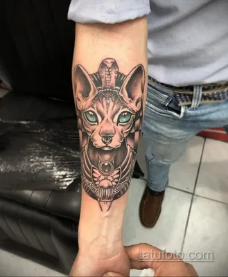 Египетская кошка тату на фото - скачать png изображение