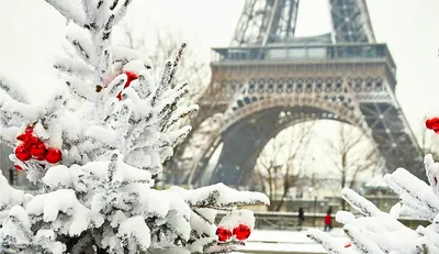 Обои на рабочий стол Париж вечером зимой с подсветкой, Paris / Париж, Эйфелева  башня, обои для рабочего стола, скачать обои, обои бесплатно